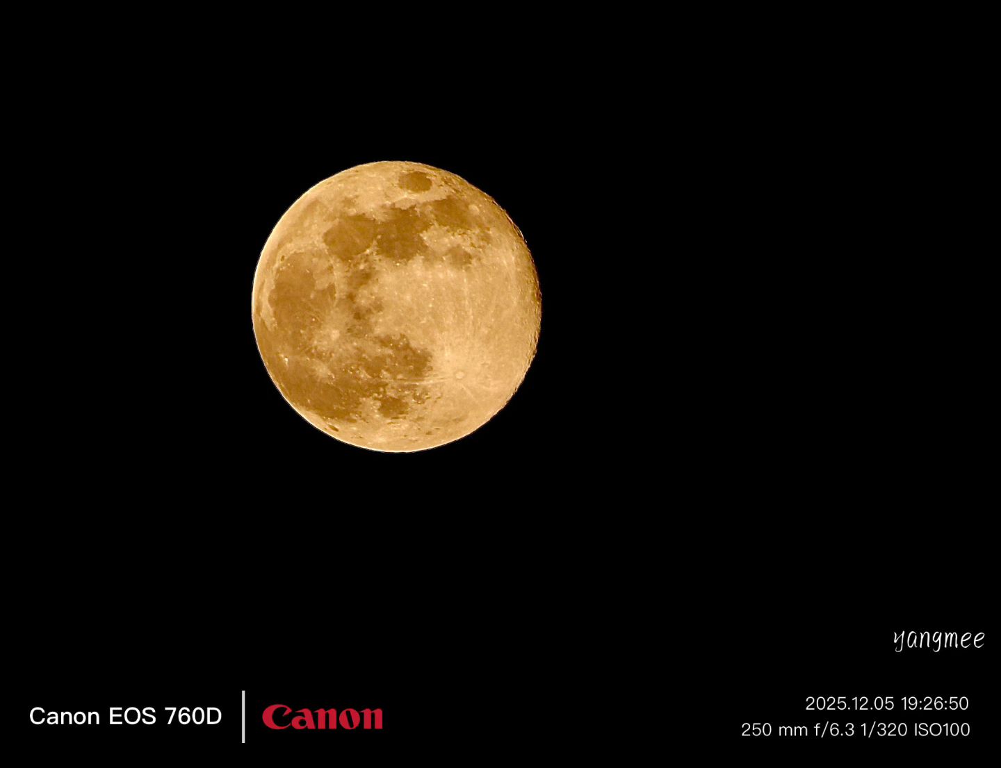 烟台的月亮   好看的哩-云幻聚×开服云官方网站